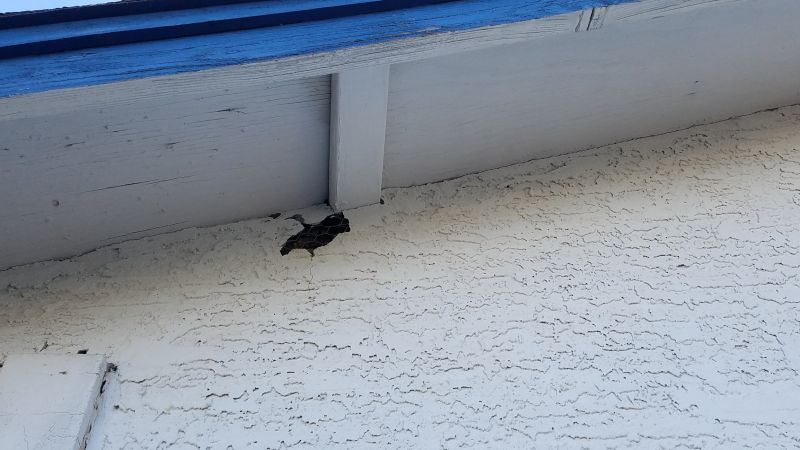 Stucco Repair Service